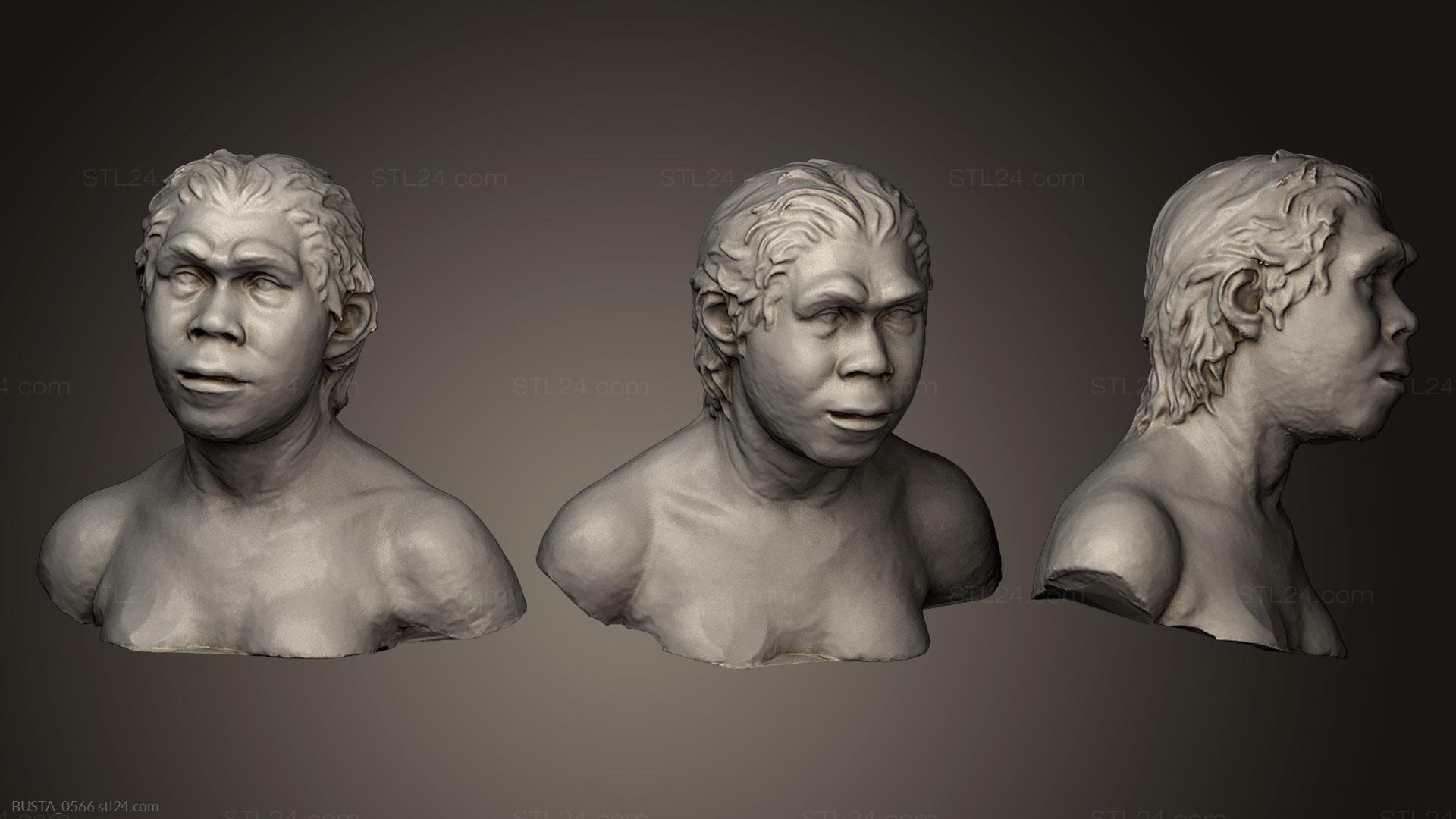 Бюсты и головы античные и исторические (Неизвестный мужчина, BUSTA_0566) 3D модель для ЧПУ станка